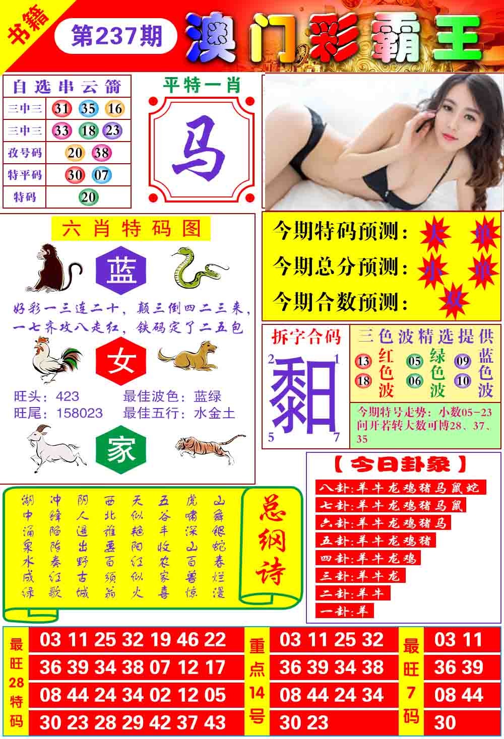 图片正在更新中……